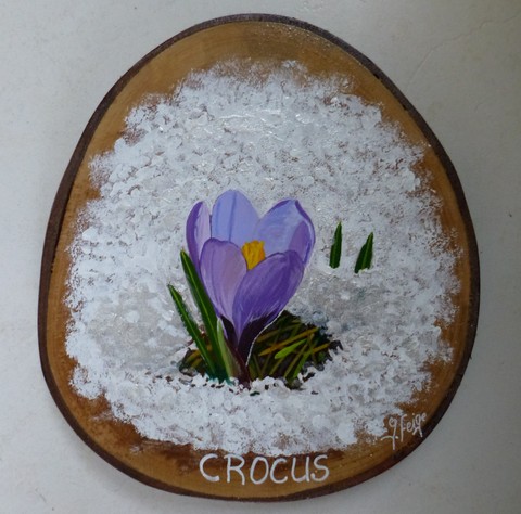 Crocus