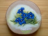 Gentianes