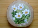 Anemones