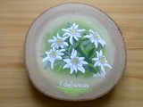 Edelweiss