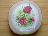 Rhododendrons