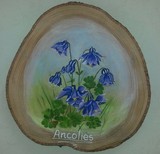 Ancolies